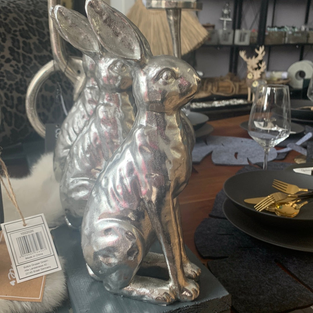 Hase , sitzend